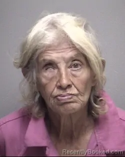 Recent Mugshot Image for KAREN ELIZABETH NAKANE in Galveston County, Texas