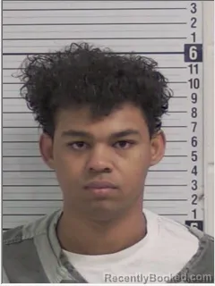 Recent Mugshot Image for HENRY EARL JR BYRD in Bay County, Florida