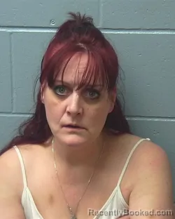 Recent Mugshot Image for TANYA MARIE BEAN in Adams County, Wisconsin