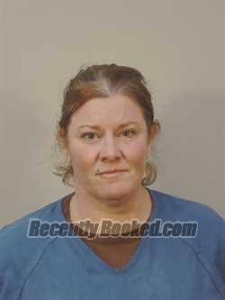 Recent Mugshot Image for DANIELLE ELIZABETH WERTH in Dane County, Wisconsin