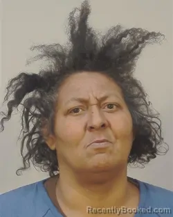 Recent Mugshot Image for DELORES M PARKER in Dane County, Wisconsin