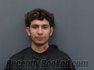Recent Mugshot Image for FERNANDO SANCHEZ in Gregg County, Texas