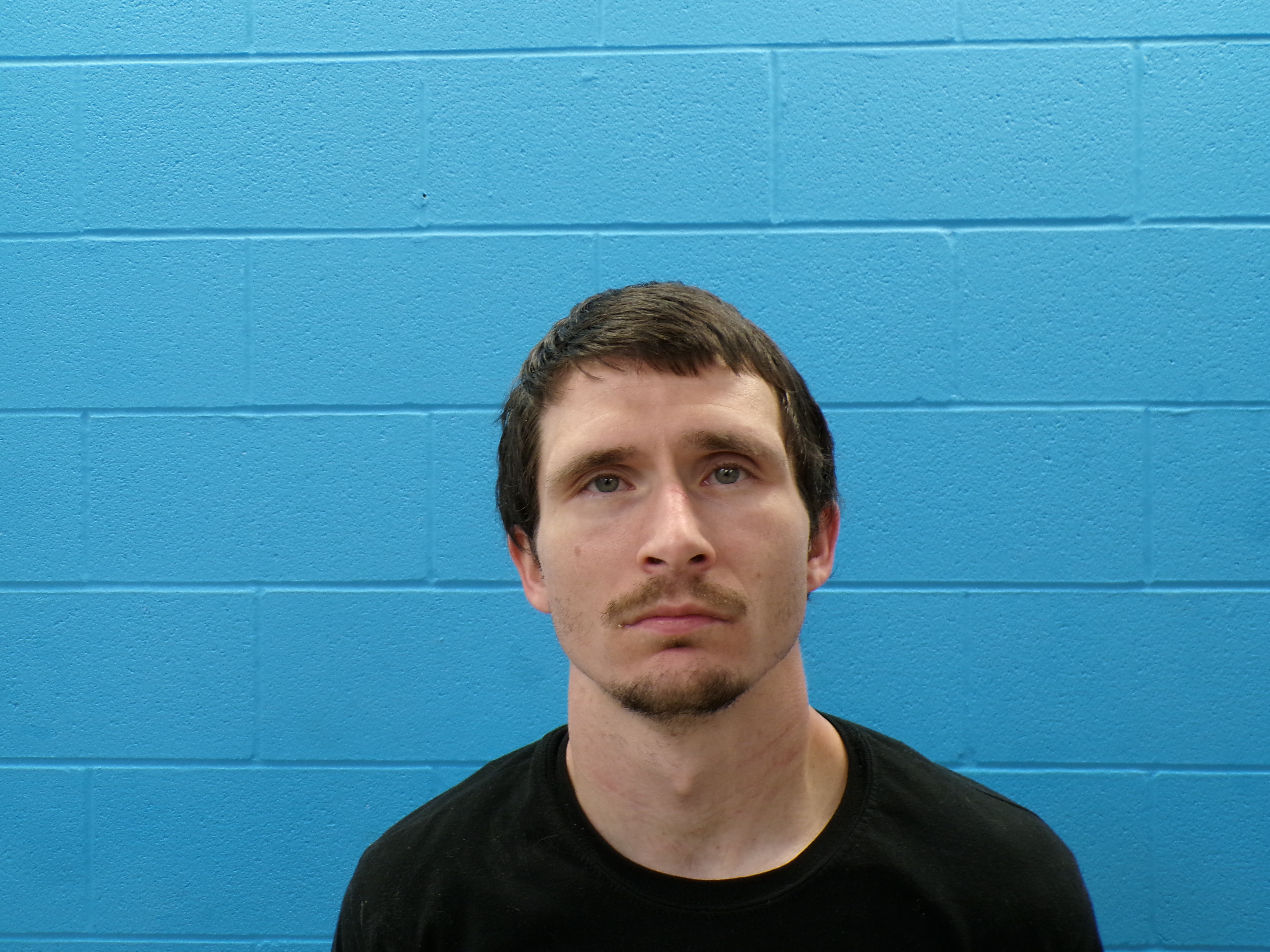 Recent Mugshot Image for ANDREW JAMES WHEELER in Guadalupe County, Texas