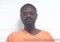 Recent Mugshot Image for KELLY TAYLOR in Haywood County, Tennessee