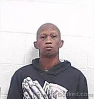 Recent Mugshot Image for LANDON YASHICKCA WADDELL in Haywood County, Tennessee