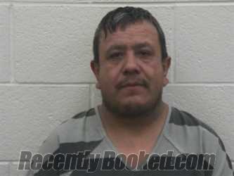Recent Mugshot Image for HECTOR CUEVAS-MANZANARES in Loudon County, Tennessee