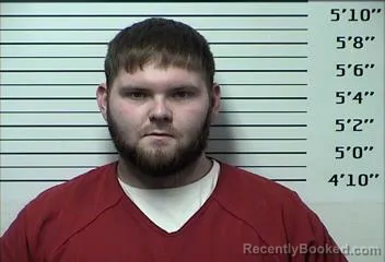 Recent Mugshot Image for JAMES AVERY PAUL PAYNE in Rhea County, Tennessee
