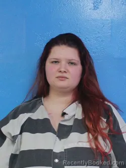 Recent Mugshot Image for SERENITY VICTORIA LYTTLE in Sullivan County, Tennessee