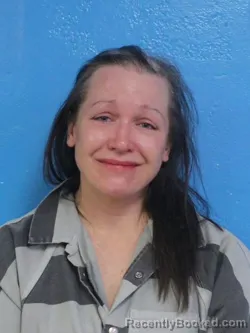 Recent Mugshot Image for HEATHER JACLYN LENGEL in Sullivan County, Tennessee