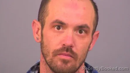 Recent Mugshot Image for TRAVIS PAUL STANLEY GIBBONS in Sumner County, Tennessee