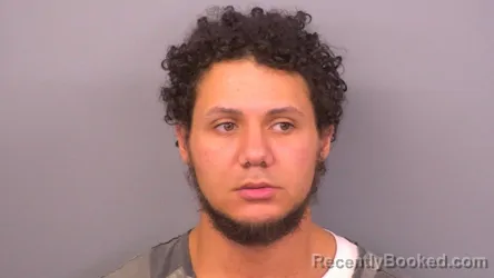 Recent Mugshot Image for JUSTICE HALES in Sumner County, Tennessee