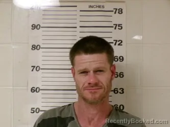 Recent Mugshot Image for JONATHAN MICHAEL KING in Henderson County, Texas