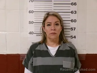 Recent Mugshot Image for NORMA ANGELICA MONTENEGRO in Henderson County, Texas