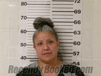 Recent Mugshot Image for VIRGINIA DELGADO in Henderson County, Texas