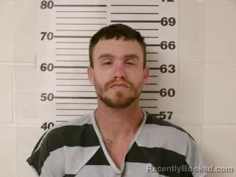 Recent Mugshot Image for BRANDON LEE DAVIS in Henderson County, Texas