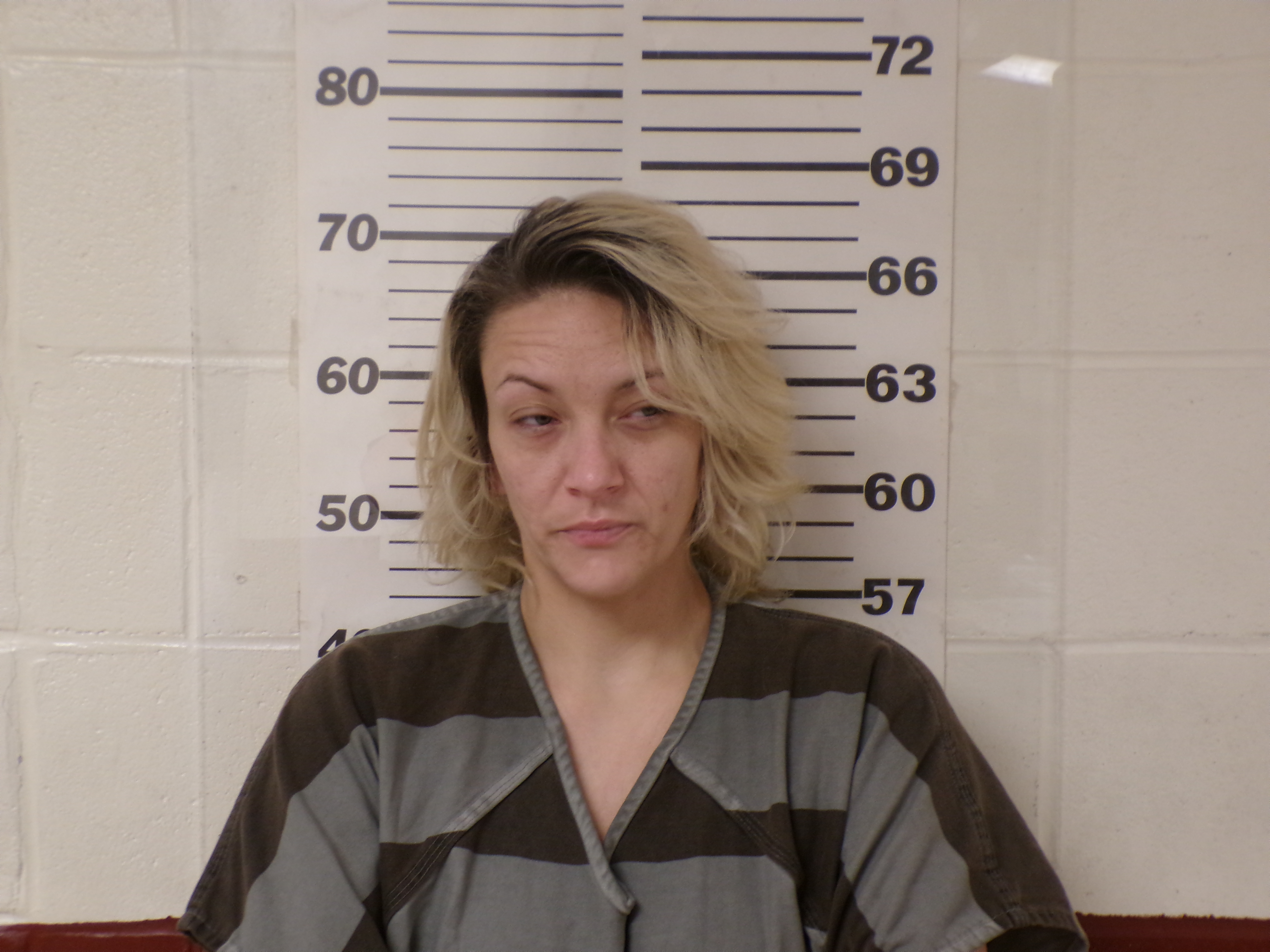 Recent Mugshot Image for STEVIE DAWN SEIDEL in Henderson County, Texas