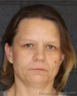 Recent Mugshot Image for JULIE ANNA BRZESKI in Hopkins County, Texas