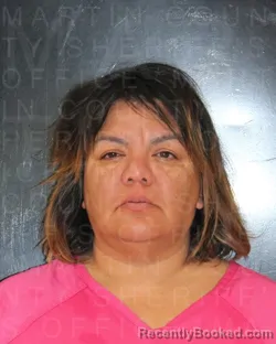 Recent Mugshot Image for JESSICA ARACELI JUAREZ in Martin County, Texas