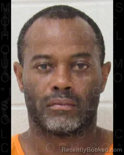 Recent Mugshot Image for JAMAL RAHEEN STANFIELD in McCulloch County, Texas