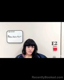 Recent Mugshot Image for NUVIA NAYELI PEREZ in Reagan County, Texas