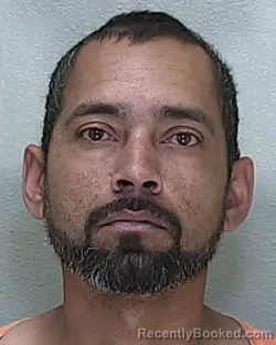 Recent Mugshot Image for ZAQUIRIS ANTONIO LA SANTA RODRIGUEZ in Marion County, Florida