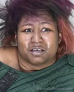 Recent Mugshot Image for LA'NIYA KEI'SANDRA JOHNSON in Marion County, Florida