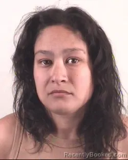 Recent Mugshot Image for LYNN BECK in Tarrant County, Texas