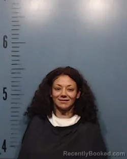 Recent Mugshot Image for Bridget Elizabeth Davis in Taylor County, Texas