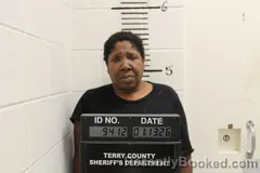 Recent Mugshot Image for LILLIE PHERGSON in Terry County, Texas