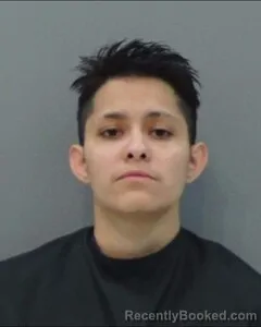Recent Mugshot Image for BRIANA HILARIO in Tom Green County, Texas