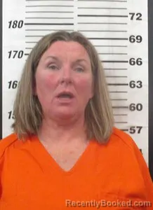 Recent Mugshot Image for Teri Jeanne Williams in Cherokee County, Kansas