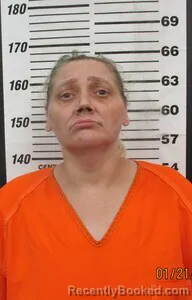 Recent Mugshot Image for JANIE J HILLIARD in Cherokee County, Kansas