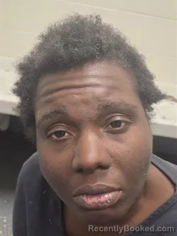 Recent Mugshot Image for ELIZABETH EINSTEIN in Orange County, Florida