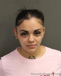 Recent Mugshot Image for YAMILETTE M SANCHEZ in Orange County, Florida