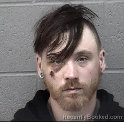 Recent Mugshot Image for JUSTIN DAVID BROWN in Crawford County, Kansas