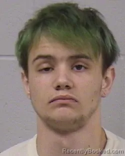 Recent Mugshot Image for ELIJAH IVAN DARWYN SHANE in Dickinson County, Kansas