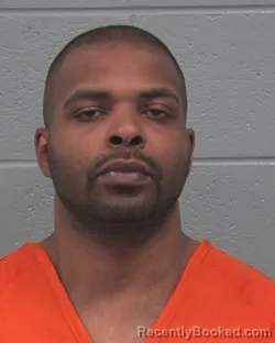 Recent Mugshot Image for DIVANTE ANTHONY WILSON in Pasco County, Florida