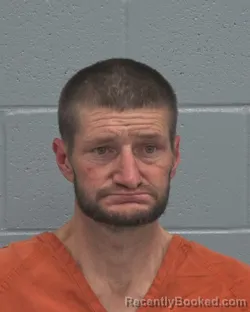 Recent Mugshot Image for JUSTIN WAYNE MEADOWS in Pasco County, Florida