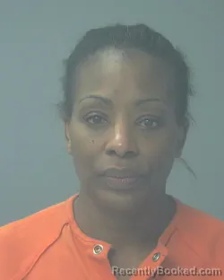 Recent Mugshot Image for TIFFANY NICOLE MCPHAIL in Santa Rosa County, Florida