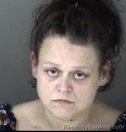 Recent Mugshot Image for Amy Renea Holst in Shawnee County, Kansas