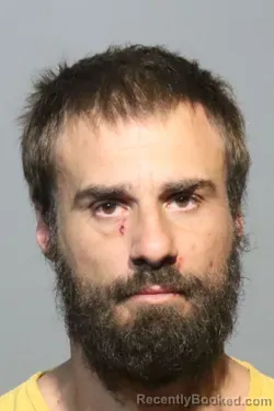 Recent Mugshot Image for NICHOLAS ARRON NIMPHIUS in Seminole County, Florida