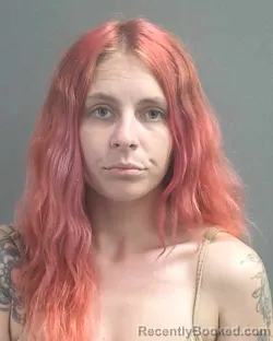 Recent Mugshot Image for TALA BREE DONHAUSER in Volusia County, Florida