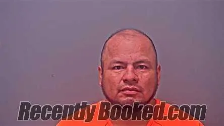 Recent Mugshot Image for LUIS ALBERTO TOALA-SILVA in Baldwin County, Alabama