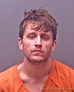 Recent Mugshot Image for WILLIAM MICHAEL DAVIS in Baldwin County, Alabama