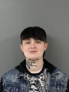 Recent Mugshot Image for SHELBY DESHAZO in Blount County, Alabama