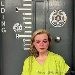 Recent Mugshot Image for ANSLEY WILKIN in Cherokee County, Alabama