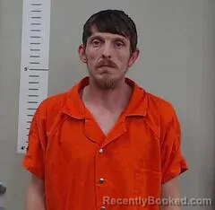 Recent Mugshot Image for BRANDON MIMS in Chilton County, Alabama