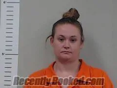 Recent Mugshot Image for HOLLIE BREWER in Chilton County, Alabama