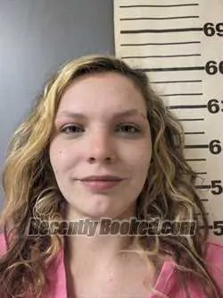 Recent Mugshot Image for TERRI ISABELLE KING in Covington County, Alabama