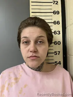 Recent Mugshot Image for ASHLEY LASHAY OWENBY in Covington County, Alabama